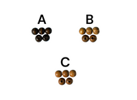 
              Carlo Acutis Adjustable Christian Bracelet – Handmade Waxed Cord Catholic Jewelry from Medjugorje
            