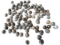 
              1000 Natural Job’s Tears Beads Catholic Rosary & Prayer Jewelry Craft Supply
            