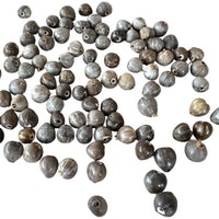 1000 Natural Job’s Tears Beads Catholic Rosary & Prayer Jewelry Craft Supply