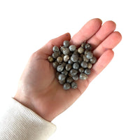 1000 Natural Job’s Tears Beads Catholic Rosary & Prayer Jewelry Craft Supply